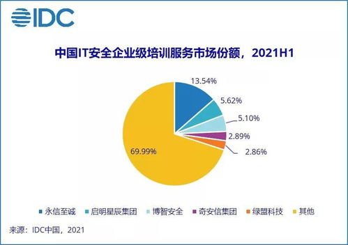 IDC報告 2021上半年中國網(wǎng)絡(luò)安全服務(wù)市場規(guī)模翻倍增長，網(wǎng)絡(luò)與信息安全軟件開發(fā)迎來新機遇
